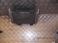 Aprilia Atlantic 250 hûtõ ventilátorral