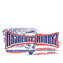 Absolute Hobbyz - logo