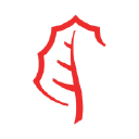 ACCIONA Nieruchomości - logo