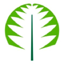 Adomex - logo