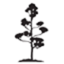 Anka Krystyniak - logo
