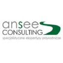 Ansee Consulting - logo