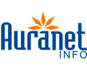 Auranet - logo
