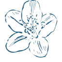 Azalea Home Buyers - logo