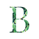 BALBOA STORE - logo