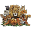 BIGCATS.RU - logo