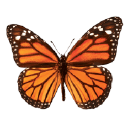 BioBaby - logo