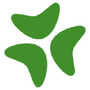 Bloomerang - logo
