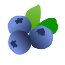 Blueberry School - logo