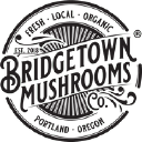 Bridgetown Mushrooms - logo