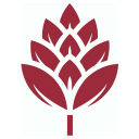 BROWIN - logo