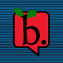 brwinow - logo