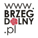 Brzeg Dolny - logo