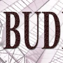 BudNews - logo