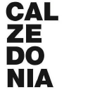 Calzedonia - logo