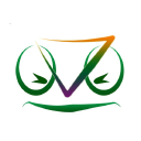 Camaleon Systems - logo
