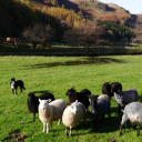 Low Bridge End Farm - logo