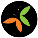 Candroy - logo