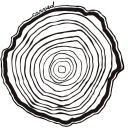 Carved - logo