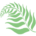 Casa Flora - logo