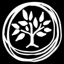 CauseTeam - logo