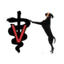 Chastain Veterinary - logo