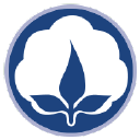 Cotton Club - logo