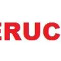 Czas Nieruchomości - logo