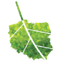 Stowarzyszenie Czysta Polska - logo