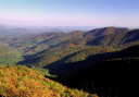 Visit Dahlonega, Georgia - logo
