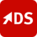 Data System Group - logo