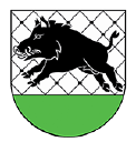 Miasto i Gmina Debrzno - logo