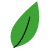 DermaVita - logo