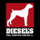 Diesel's Fuel Injection Service - logo