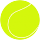Domain Tennis Centre - logo