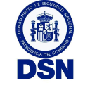 DSN - logo