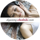 Dywany i Chodniki - logo