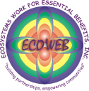 ECOWEB - logo
