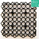 Eko Star - logo