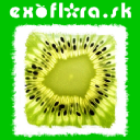 Exoflora.sk - logo