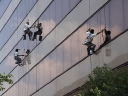 ExpertWindowCleaning - logo