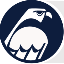 Falcon Energy - logo