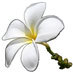 Feelgoodstudio - logo
