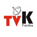 FeniksMedia - logo