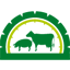 Firma Marcinkowscy - logo