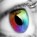 Florida Eye Microsurgical Institute - logo