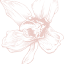 Flore studio - logo