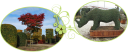 Floribras - logo