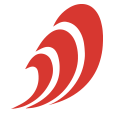 FNS - logo