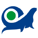 FOKA - logo